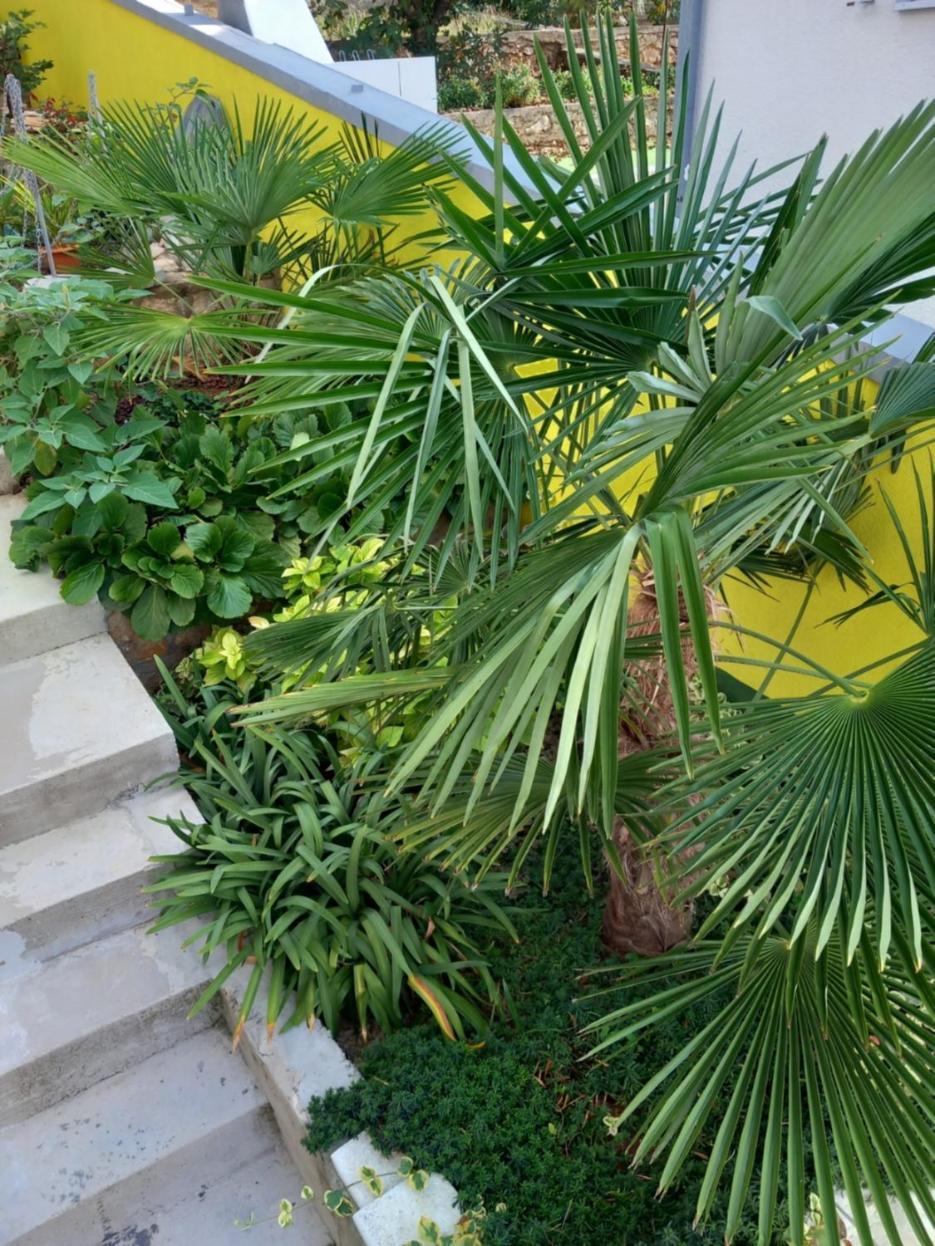 Apartament La Catedral Sveti Petar  Zewnętrze zdjęcie